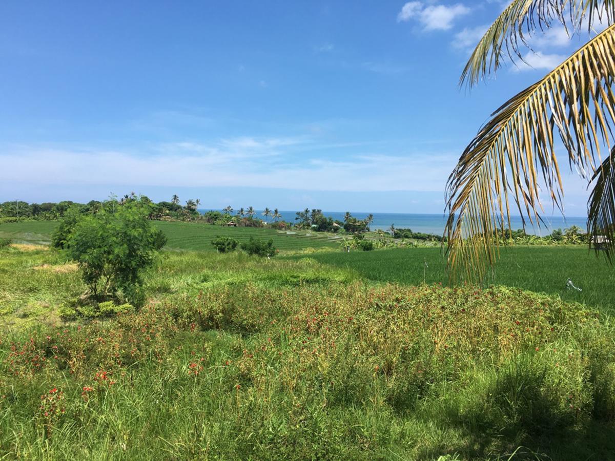 Exotica Bali Villa Canggu Eksteriør bilde