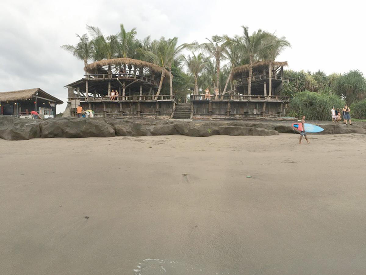 Exotica Bali Villa Canggu Eksteriør bilde